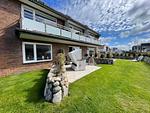 Strand Loft - Top-Hundeurlaub