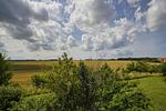 Gartenblick - Doppelhaus 2: Terrasse - Top-Hundeurlaub