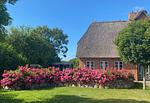Fassade / Eingang - Haus Lichtblick - Top-Hundeurlaub