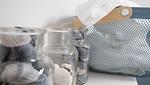 Dekoratives Detail - Haus Lichtblick - Top-Hundeurlaub