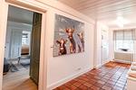 Dekoratives Detail - Paule Bo - Top-Hundeurlaub