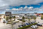WATT- Blick 31 - Top-Hundeurlaub