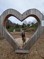 I11c Villa NINI mit privatem Pool und eingezäunten Garten für bis 8 Personen am Ledrosee - Top-Hundeurlaub