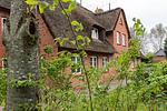 Fassade / Eingang - Strandflieder Alkersum - Top-Hundeurlaub