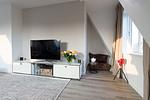 TV / Multimedia - Piratennest - Top-Hundeurlaub