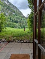 D1124a Ferienhäuschen - Hunde, egal wieviel, herzlich willkommen - Top-Hundeurlaub