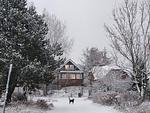 Haus Seeschwalbe - Wohnung 09 - Top-Hundeurlaub