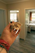 Haus Seeschwalbe - Wohnung 14 - Top-Hundeurlaub