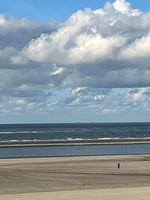 Haus Seeschwalbe  - Wohnung Schwalbennest - Top-Hundeurlaub