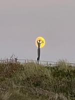 Haus Seeschwalbe Spiekeroog - Wohnung 01 - Top-Hundeurlaub