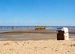 Haus Waldluft, Whg. Buche, Am großen Brink 13, 27476 Cuxhaven- Sahlenburg - Top-Hundeurlaub