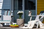 Terrasse - Ferienwohnung Kleine Freiheit Olpenitz - Top-Hundeurlaub