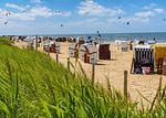 Ferienwohnung Nordsee, Swatten Diek 35, Sahlenburg, kleine Hunde auf Anfrage - Top-Hundeurlaub