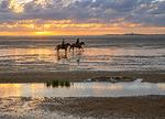Ferienwohnung Nordsee, Swatten Diek 35, Sahlenburg, kleine Hunde auf Anfrage - Top-Hundeurlaub
