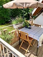 Studio Hase Saig - Top-Hundeurlaub