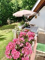 Studio Hase Saig - Top-Hundeurlaub