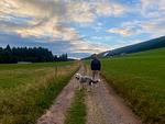Studio Hase Saig - Top-Hundeurlaub