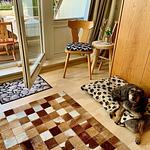 Studio Hase Saig - Top-Hundeurlaub