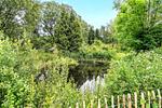 Garten - Landhaus Köhn - Holsteinische Schweiz - Top-Hundeurlaub