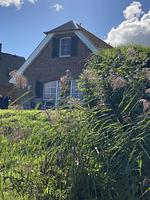 Ferienhaus Seeperle - Top-Hundeurlaub
