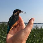 Ferienhaus Biberburg - Top-Hundeurlaub