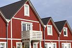 Nachbarschaft - Ferienwohnung Wattwurm Dagebüll - Top-Hundeurlaub
