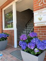 Fassade / Eingang - Ferienwohnung Deichblick Dagebüll - Top-Hundeurlaub