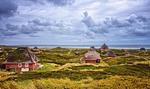 Landschaft - Ferienwohnung Deichblick Dagebüll - Top-Hundeurlaub