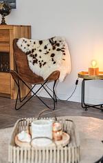 Wohnzimmer - Ferienwohnung Dünennest - Top-Hundeurlaub