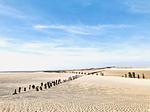 Wasser, Wind und Weite. Auch im Winter besonders. - Ferienwohnung - De Düün Een - Top-Hundeurlaub
