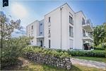 Ferienwohnung Tommy - Top-Hundeurlaub