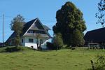 Ferienwohnungen beim Gebelehof - Top-Hundeurlaub