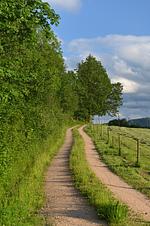 Ferienwohnungen beim Gebelehof - Top-Hundeurlaub