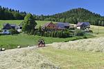 Ferienwohnungen beim Gebelehof - Top-Hundeurlaub