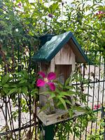 Terrasse - Ferienwohnung KWi 79 EG "Seeschwalbe im Küstenwald" - Top-Hundeurlaub