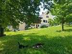 FerienAppartements 
Landhaus FühlDichWohl  - Top-Hundeurlaub
