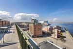 Dachterrasse mit Ausblick - Krusespeicher 6-68 - Top-Hundeurlaub