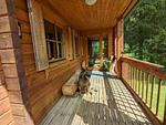 D1142a Ferienhaus "Fehrengrund" im Thüringer Wald mit großem Garten und privater Sauna - Top-Hundeurlaub