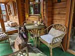 D1142a Ferienhaus "Fehrengrund" im Thüringer Wald mit großem Garten und privater Sauna - Top-Hundeurlaub