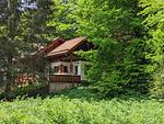 D1142a Ferienhaus "Fehrengrund" im Thüringer Wald mit großem Garten und privater Sauna - Top-Hundeurlaub