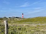 Landschaft - Strandliebe - Top-Hundeurlaub