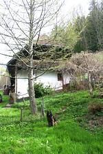 D1122a Ehemalige Bauernhaunhaus Christine mit eingezäunten Garten im Schwarzwald - Top-Hundeurlaub