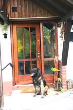 D1122a Ehemalige Bauernhaunhaus Christine mit eingezäunten Garten im Schwarzwald - Top-Hundeurlaub