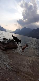 I17f Ferienhaus "Raffi" mit Seeblick und komplett eingezäunten Garten am Idrosee  - Top-Hundeurlaub