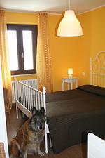 I112a Ferienwohnung "Teschien" direkt am Ledrosee mit eingezäunten kleinem Garten - herrliche Lage und herrliche Seesicht. - Top-Hundeurlaub