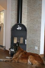 I112a Ferienwohnung "Teschien" direkt am Ledrosee mit eingezäunten kleinem Garten - herrliche Lage und herrliche Seesicht. - Top-Hundeurlaub