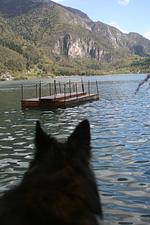 I112a Ferienwohnung "Teschien" direkt am Ledrosee mit eingezäunten kleinem Garten - herrliche Lage und herrliche Seesicht. - Top-Hundeurlaub