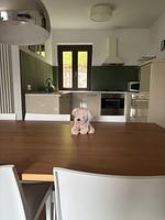 I112a Ferienwohnung "Teschien" direkt am Ledrosee mit eingezäunten kleinem Garten - herrliche Lage und herrliche Seesicht. - Top-Hundeurlaub