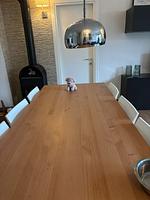 I112a Ferienwohnung "Teschien" direkt am Ledrosee mit eingezäunten kleinem Garten - herrliche Lage und herrliche Seesicht. - Top-Hundeurlaub