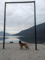 I120a Villa Alita mit Privatsphäre, eigenem Seezugang-rießiger gut eingezäunter Garten - ein Traum - Top-Hundeurlaub